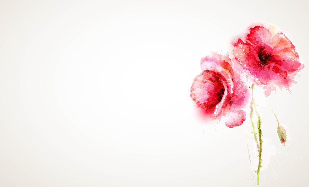 Red Poppies Watercolor Wallpaper Mural featuring two vibrant red flowers with delicate petals and green stems, set against a soft, light beige background with ample negative space from Decor2Go Wallpaper Mural.