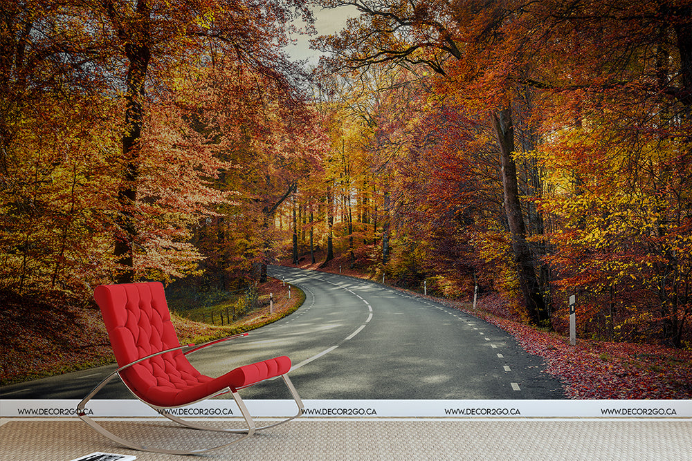 A surreal image combining an indoor Riding Red Wallpaper Mural lounge chair on a wooden floor with an accent wall featuring a scenic background of a curving road surrounded by vibrant autumn foliage from Decor2Go Wallpaper Mural.