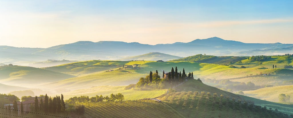 A serene sunrise over the Decor2Go Wallpaper Mural of Tuscany, featuring lush green fields and a small cluster of cypress trees and a farmhouse on a hill.