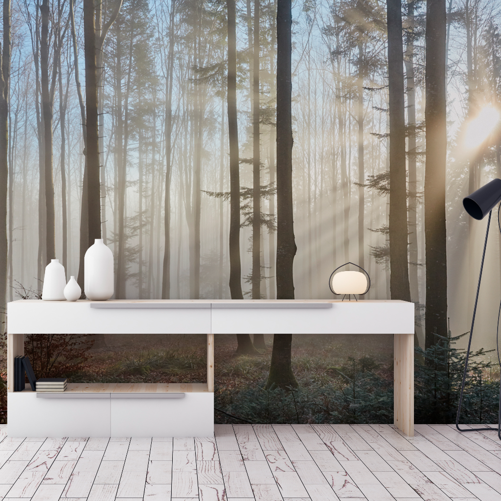 Living Room - Sun Rays Through the Forest Wallpaper Mural in a living room