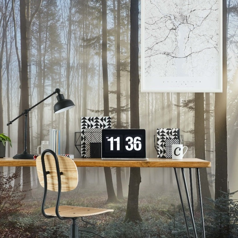 Sun Rays Through the Forest Wallpaper Mural in study room