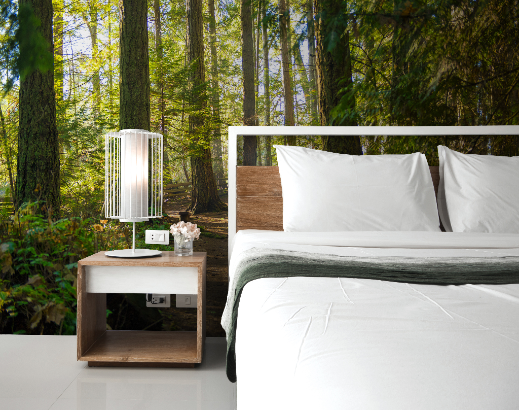 Bedroom - A modern bedroom with a large bed close to a glass wall offering a view of vibrant greenery. A bedside table with a lamp and clock is next to the bed featuring the Decor2Go Wallpaper Mural's Forest Path Wallpaper Mural.