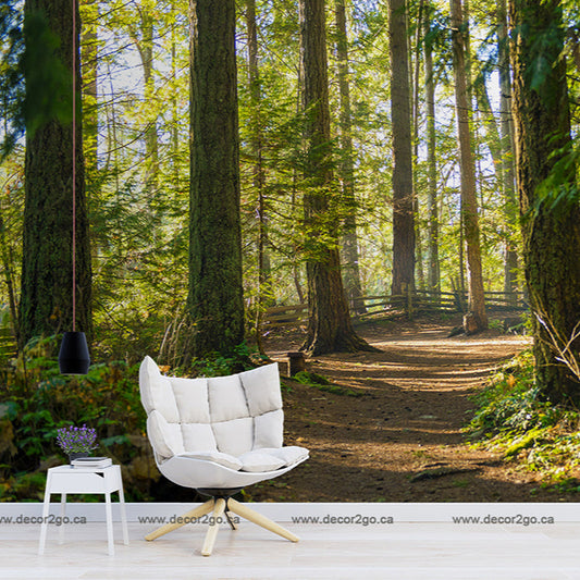 A cozy white armchair and a small side table placed in a serene forest with The Forest Path Wallpaper Mural winding through tall trees, sunlight filtering through the vibrant greenery above.