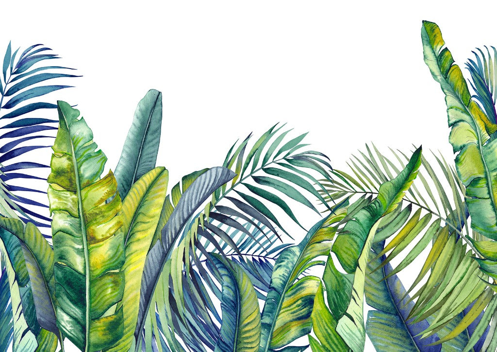 A vibrant watercolor illustration of a variety of tropical leaves, including banana leaves and palm tree leaves, in shades of green and blue, overlapping each other with a white background from Decor2Go Wallpaper Mural's Tropical Blue Tropical Bloom Wallpaper Mural.