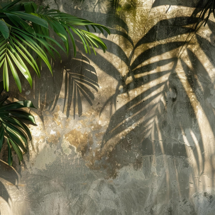Shadow of tropical leaves on a textured wall