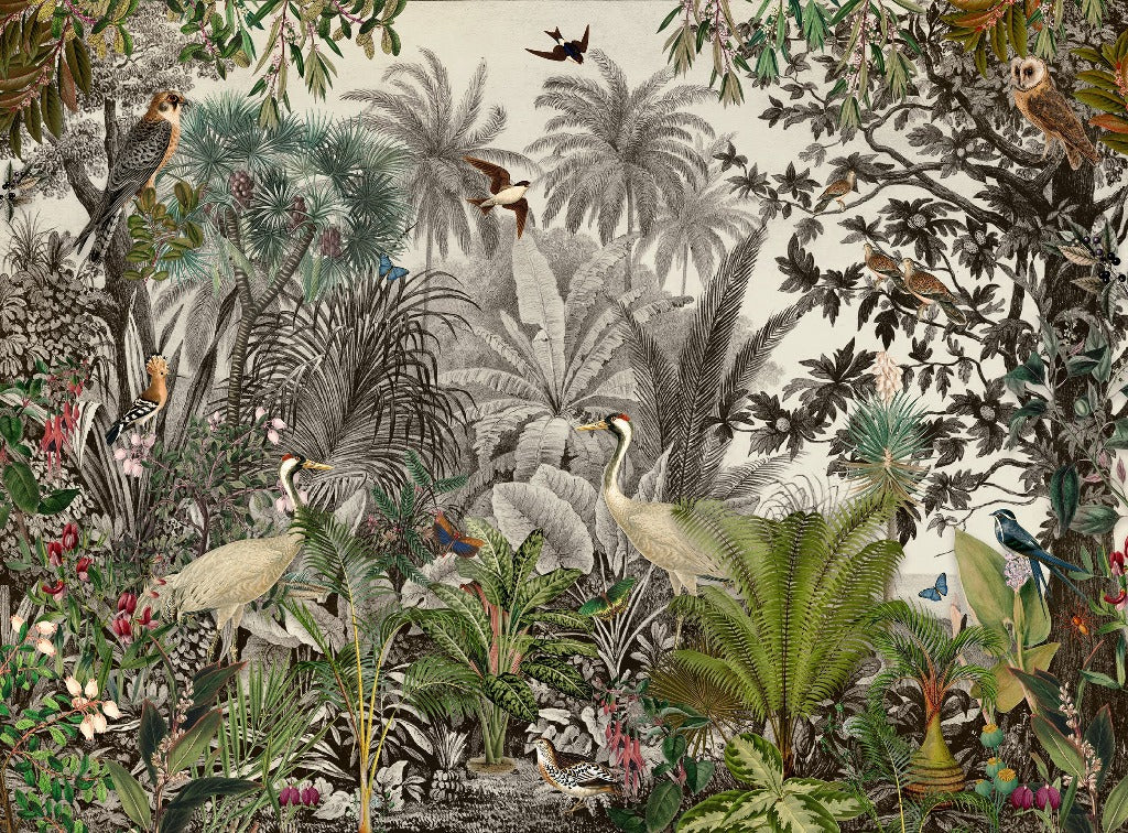 Illustration of a lush jungle scene with various tropical plants and trees. Birds, including cranes and parrots, and butterflies are scattered throughout the dense foliage. The background features towering palm trees and a muted sky, evoking a vintage tropical charm. This is perfectly captured in the Vintage Jungle Wallpaper Mural by Decor2Go Wallpaper Mural.