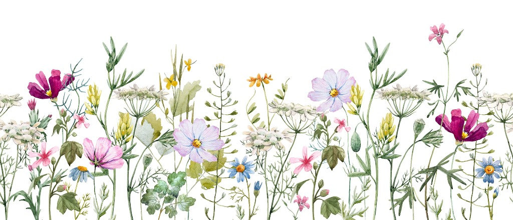 A seamless, horizontal Watercolor Garden Wallpaper Mural featuring a diverse array of colorful wildflowers and greenery against a white background, perfect for enhancing any living space by Decor2Go Wallpaper Mural.