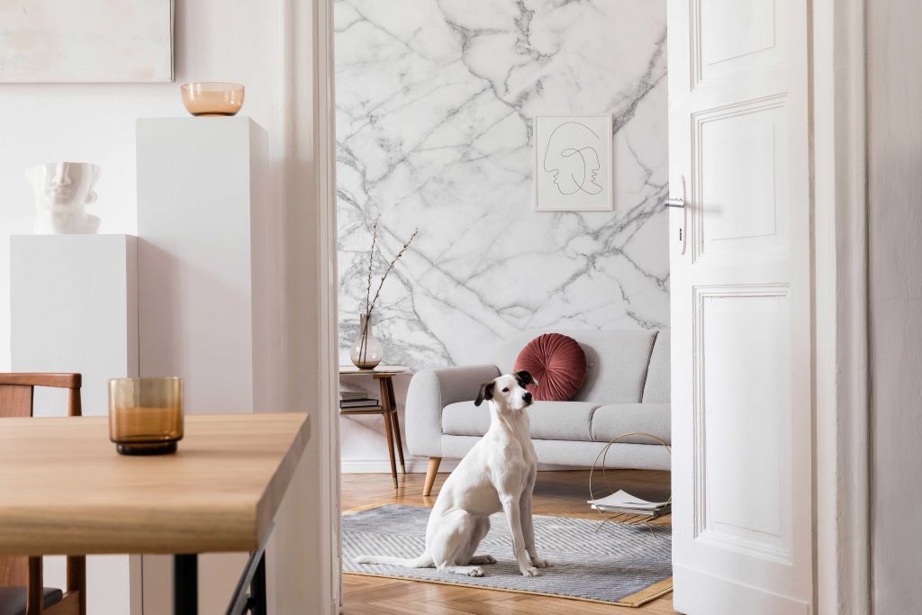 A bright living room with Decor2Go Wallpaper Mural and modern decor, featuring a white dog sitting beside a stylish sofa, looking towards a partially open door.