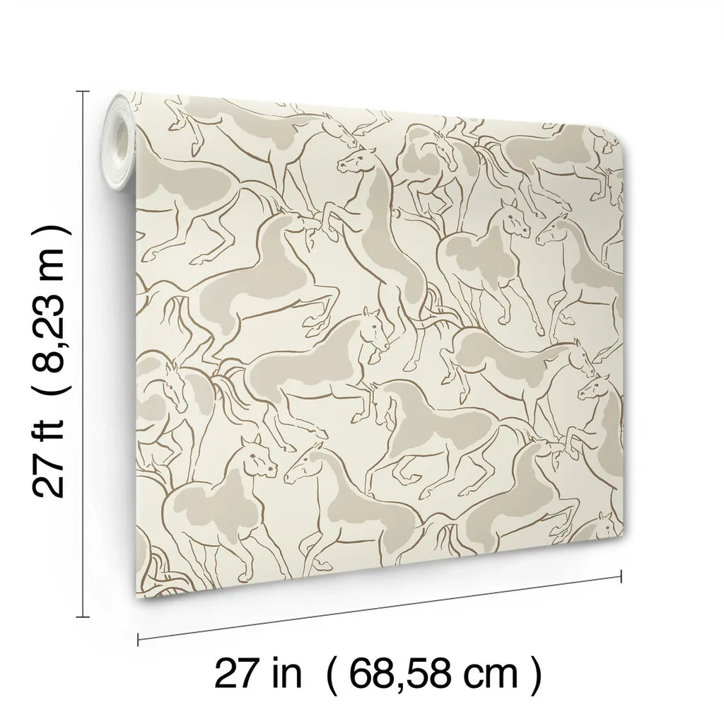 Dressage wallpaper roll dimensions and specifications - 4211-83503