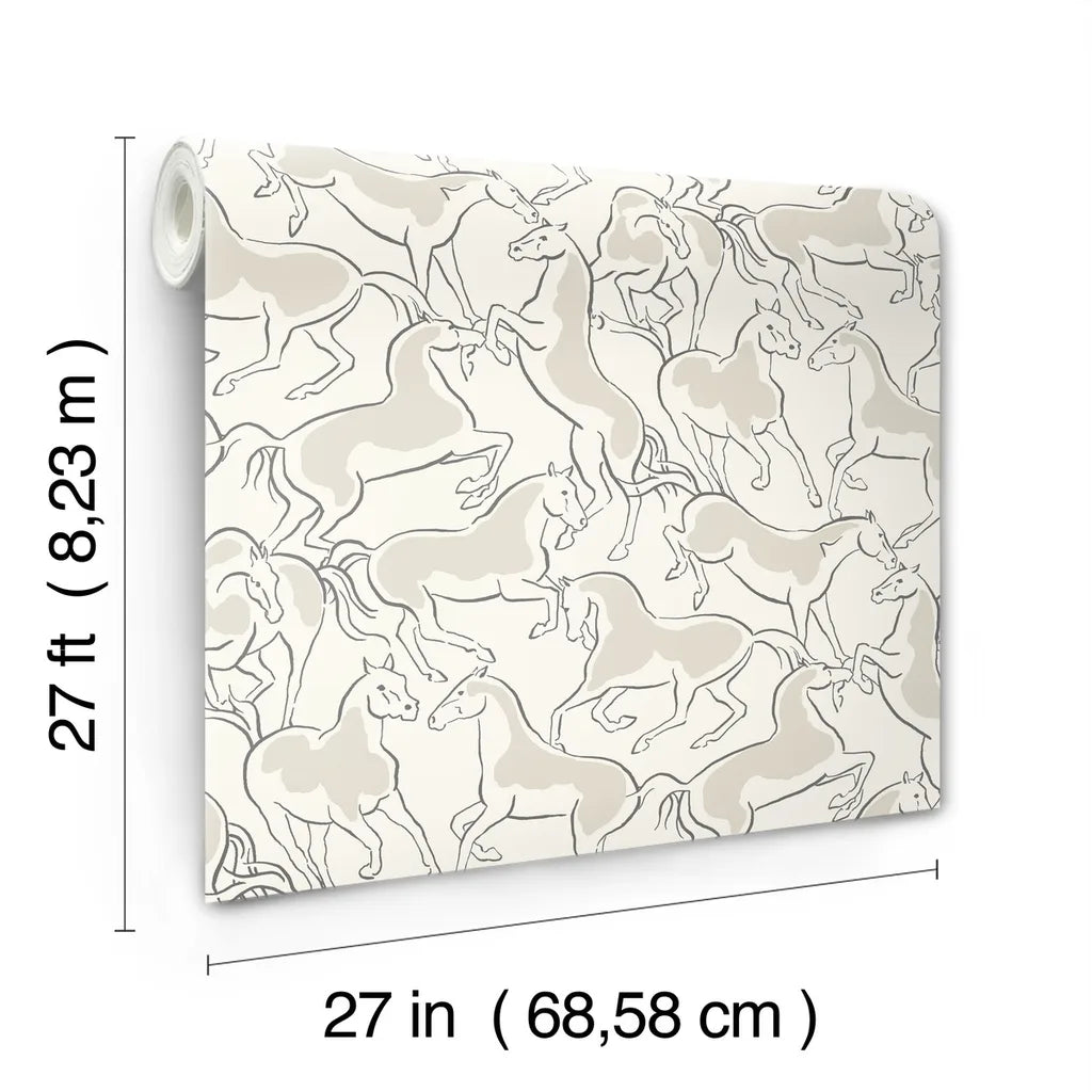 Dressage wallpaper roll dimensions and specifications - 4211-83505