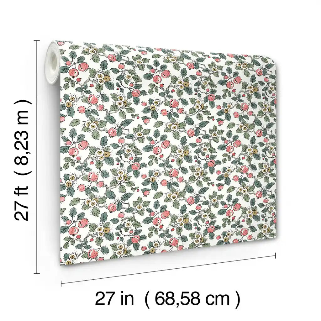 Framboise wallpaper roll dimensions and specifications — VP1412