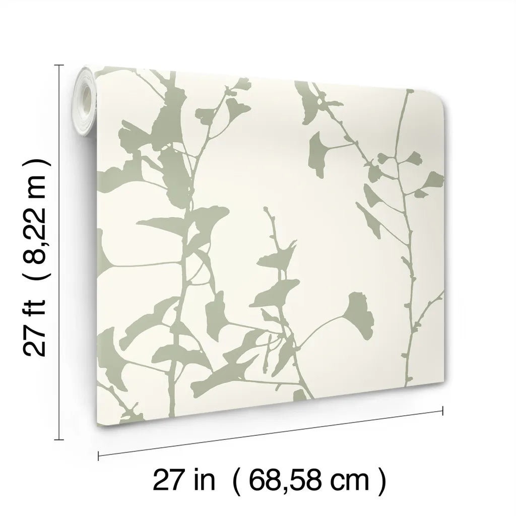 Ginkgo Silhouette wallpaper roll dimensions and specifications — VR1510