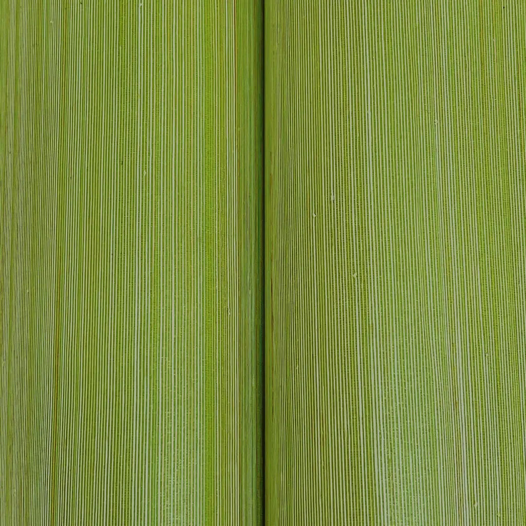 Close-up of York Wallcoverings' Smooth Abaca wallpaper in Olive Green, revealing its elegant, finely woven texture.