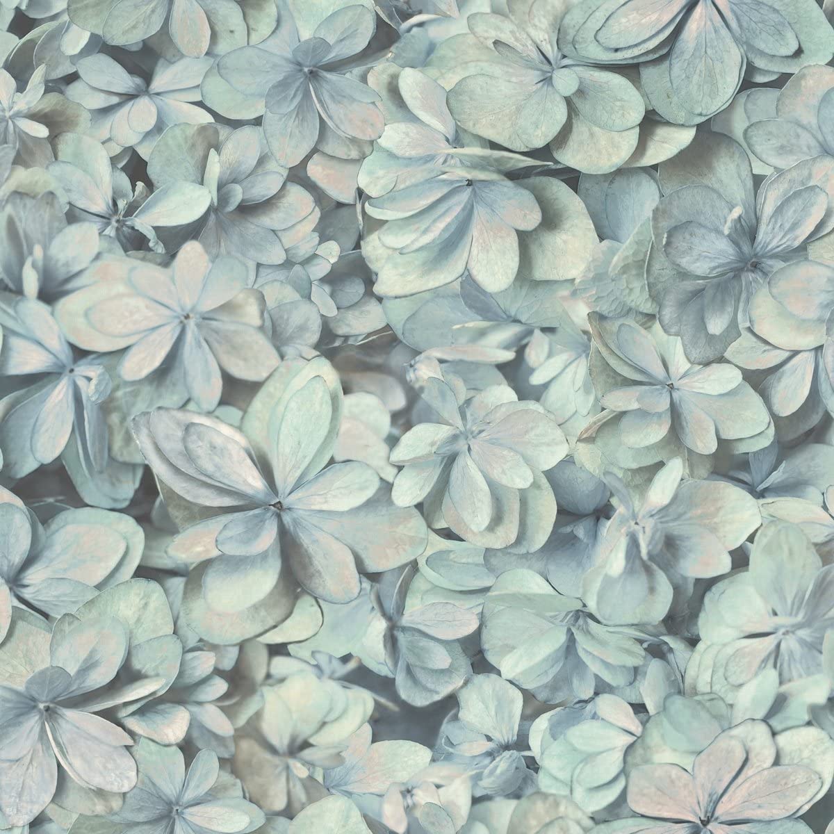 A close-up of numerous hydrangea petals in soft pastel hues of blue, green, and pink creates a delicate and overlapping floral pattern. The vinyl-coated Hydrangea Wallpaper (56 SqFt) by York Wallcoverings features densely packed petals, giving it a textured and serene appearance, ideal for any space.