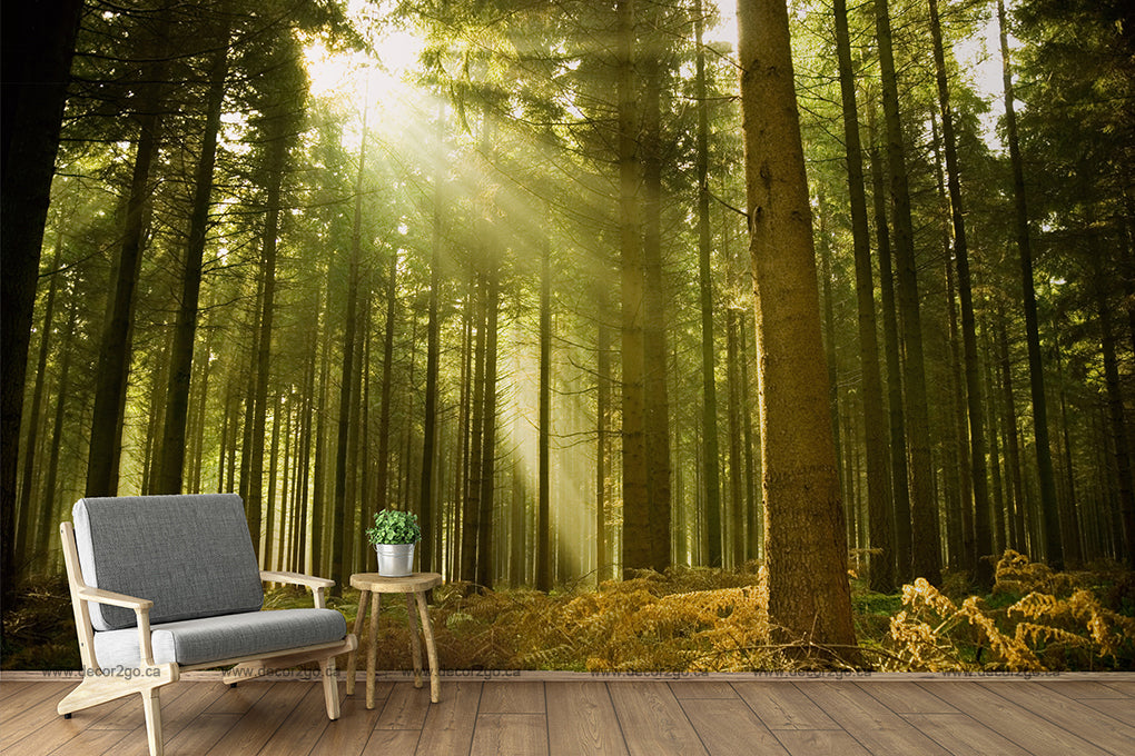 A modern gray armchair and side table with a plant are placed on a wooden floor, set against a serene Sunny Green Forest Wallpaper Mural background with sunlight streaming through the trees from Decor2Go Wallpaper Mural.
