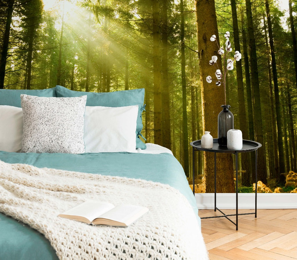 Bedroom - A cozy bedroom setup with the wall showcasing a Decor2Go Wallpaper Mural Sunny Green Forest Wallpaper Mural, complete with sunlight filtering through tall trees. A book rests on a blue blanket over a bed.