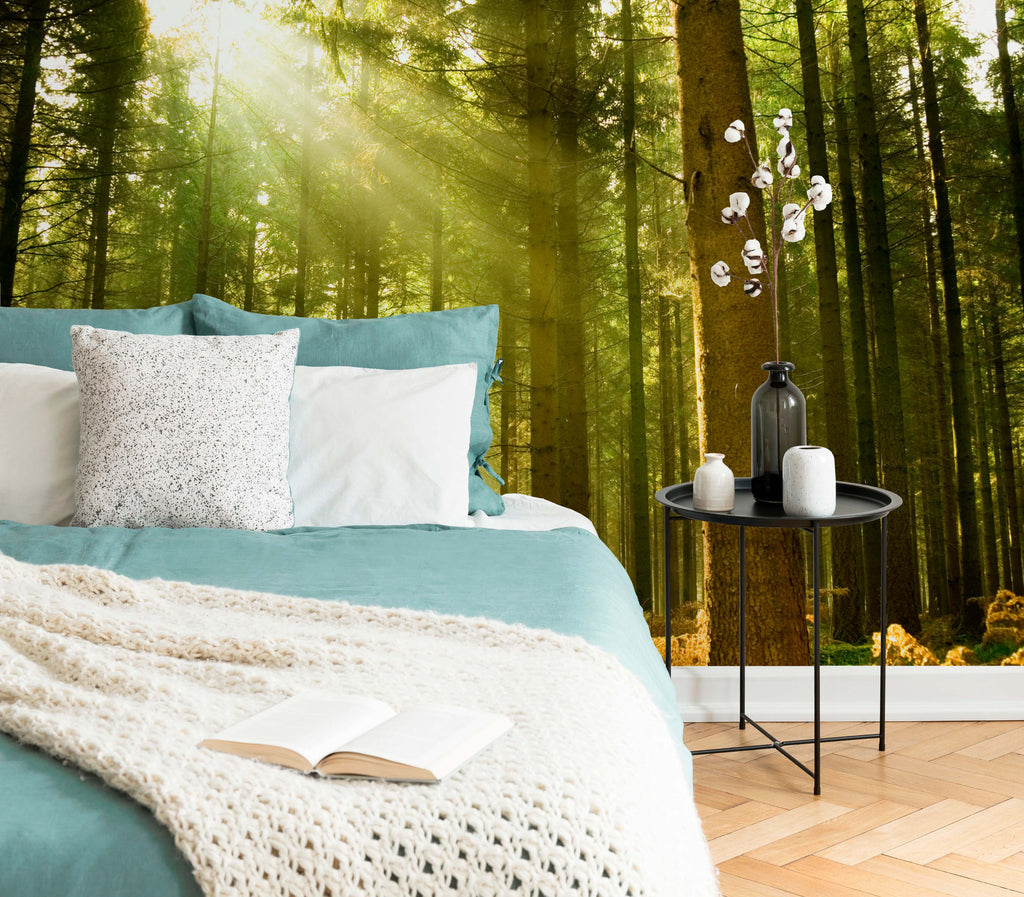 A cozy bedroom setup with the wall showcasing a Decor2Go Wallpaper Mural Sunny Green Forest Wallpaper Mural, complete with sunlight filtering through tall trees. A book rests on a blue blanket over a bed.