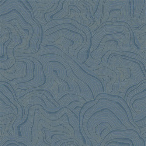 A blue, abstract wallpaper pattern resembling contour lines on a topographic map. The lines form various organic shapes and swirls, creating a textured and layered appearance. The vinyl-coated design features color variations within the lines, adding depth akin to York Wallcoverings' Geodes Wallpaper (60 Sq Ft).