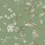 The Green Bird and Blossom Chinoiserie Wallpaper by York Wallcoverings showcases a vintage, elegant design with birds and detailed floral branches adorned with pale flowers set against a soft green background. Enhanced by intricate details and Asian botanical motifs, this decorative pattern exudes timeless beauty.